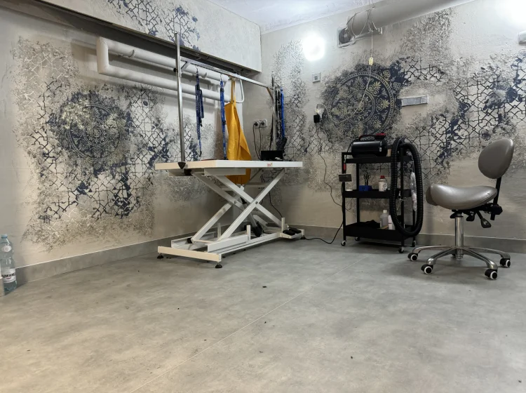 Salon Groomerski